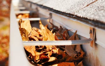 Littleton Upon Severn gutter cleaning companies