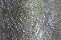 Littleton Upon Severn fibreglass roof work